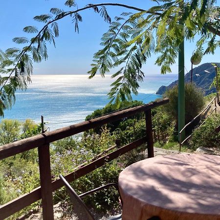 Villa Pietrafiore Monterosso al Mare Eksteriør bilde
