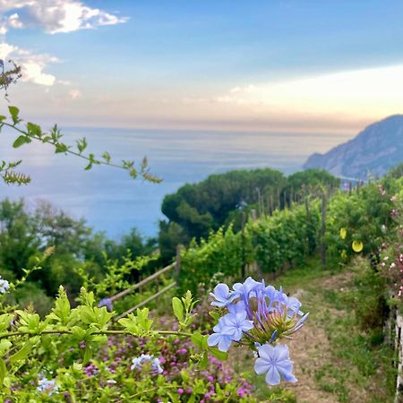 Villa Pietrafiore Monterosso al Mare Eksteriør bilde