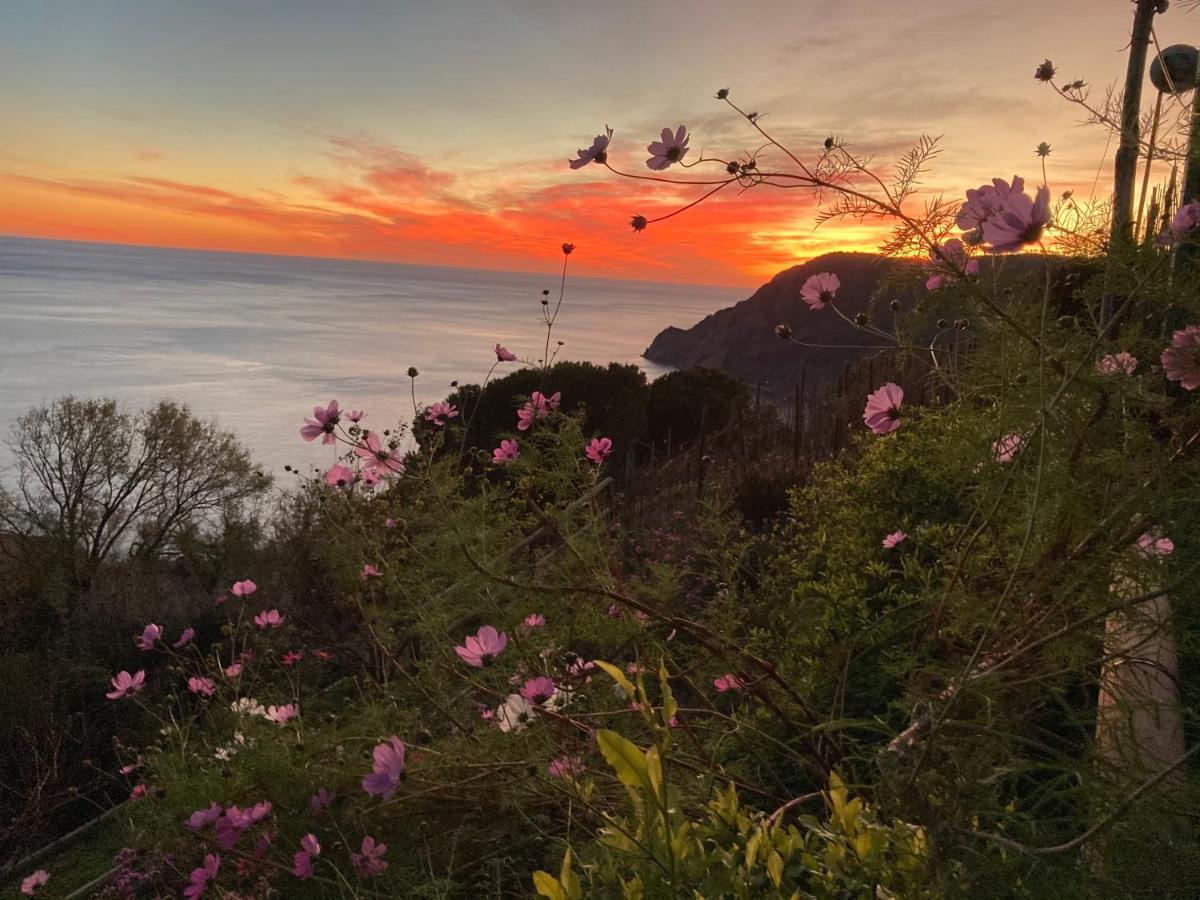 Villa Pietrafiore Monterosso al Mare Eksteriør bilde