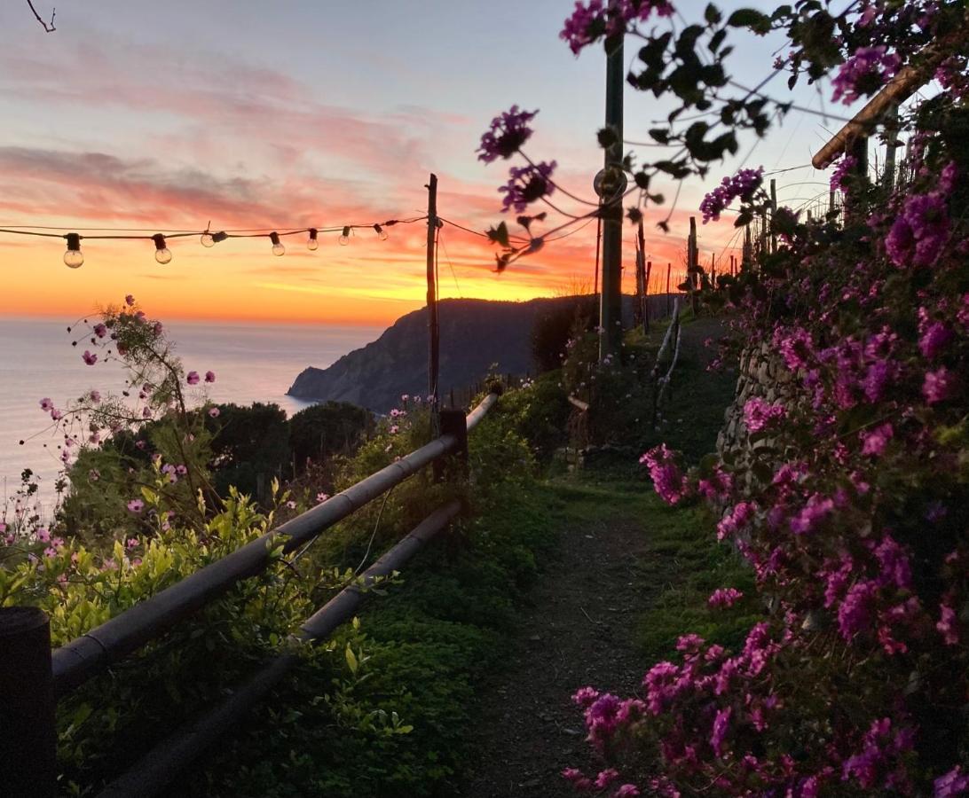 Villa Pietrafiore Monterosso al Mare Eksteriør bilde