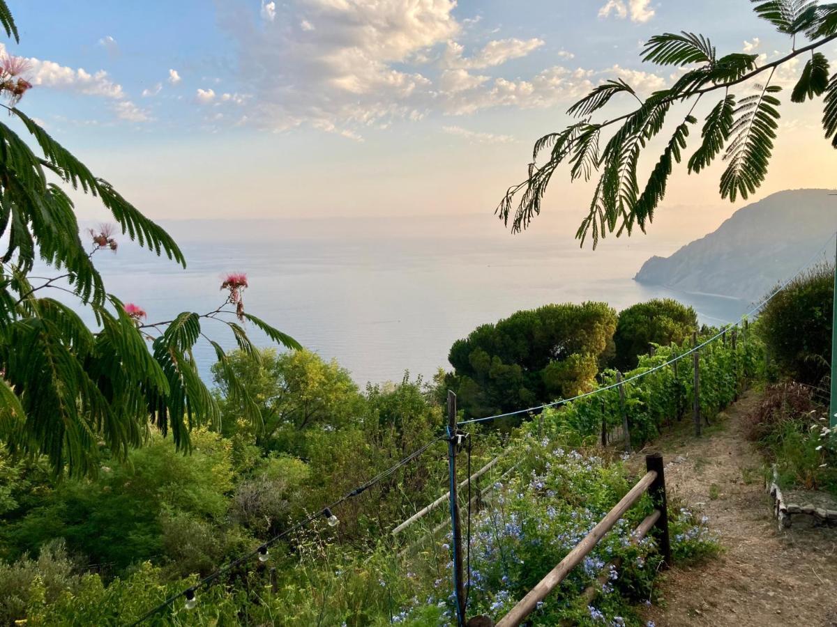Villa Pietrafiore Monterosso al Mare Eksteriør bilde