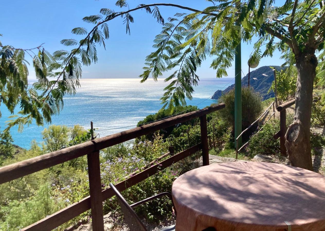Villa Pietrafiore Monterosso al Mare Eksteriør bilde