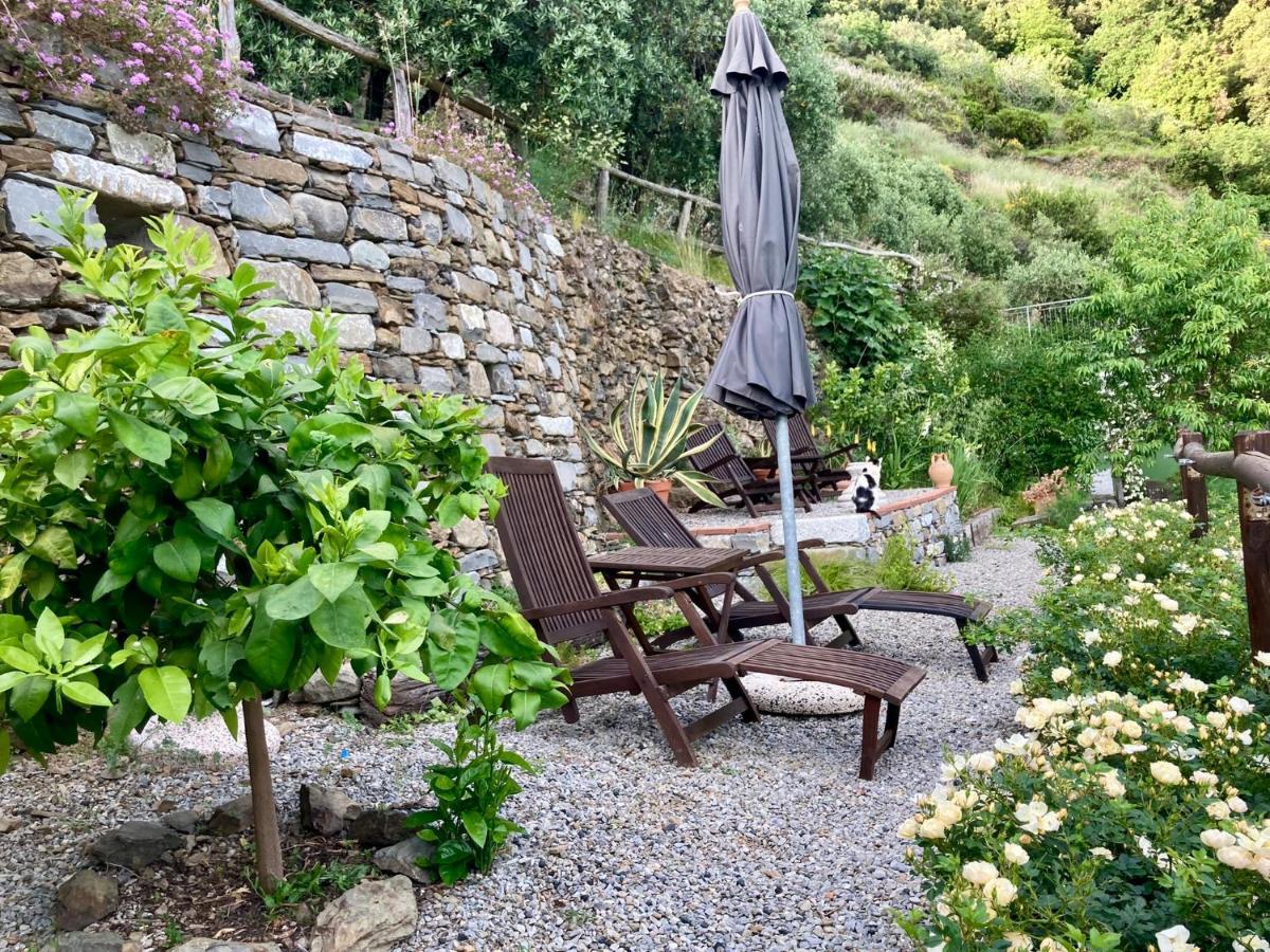 Villa Pietrafiore Monterosso al Mare Eksteriør bilde