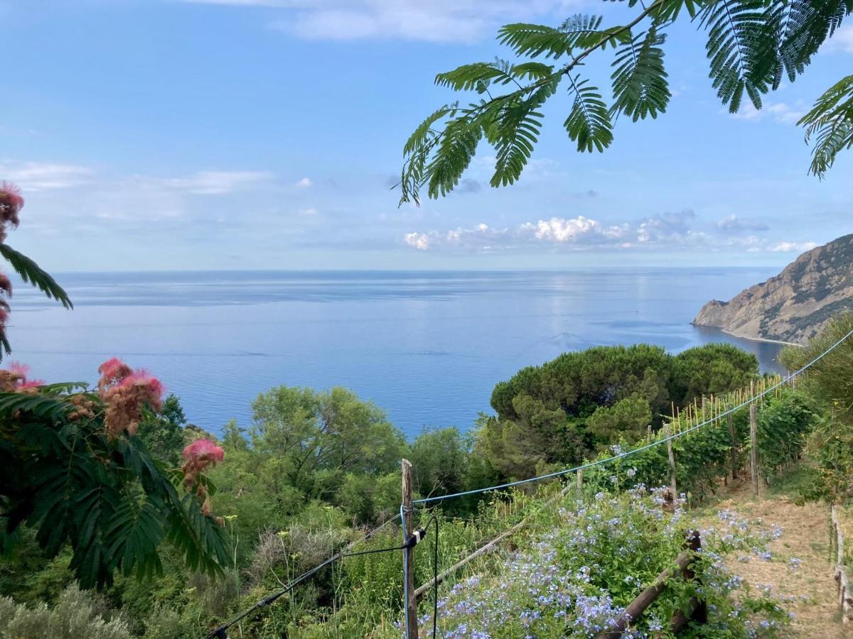Villa Pietrafiore Monterosso al Mare Eksteriør bilde