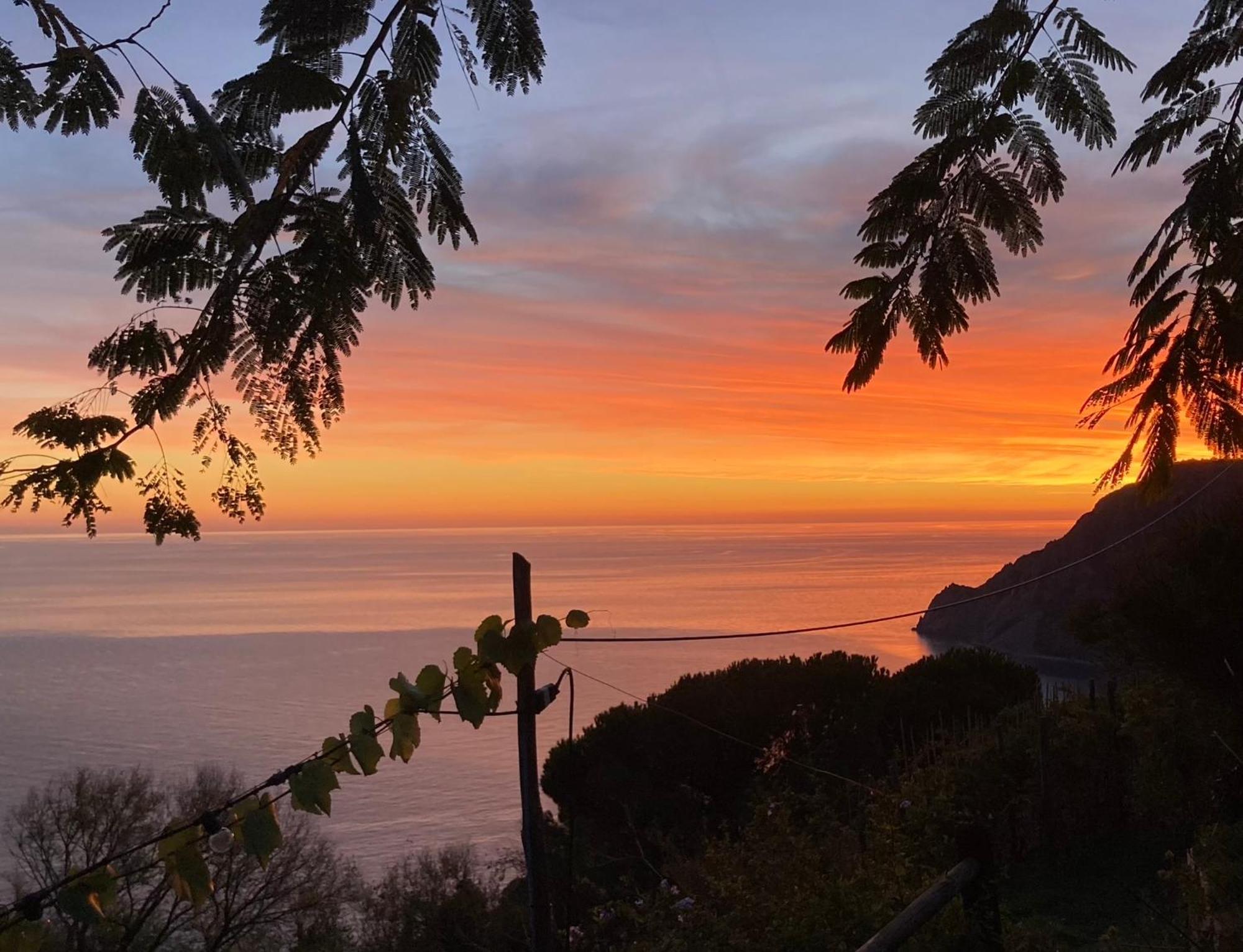 Villa Pietrafiore Monterosso al Mare Eksteriør bilde