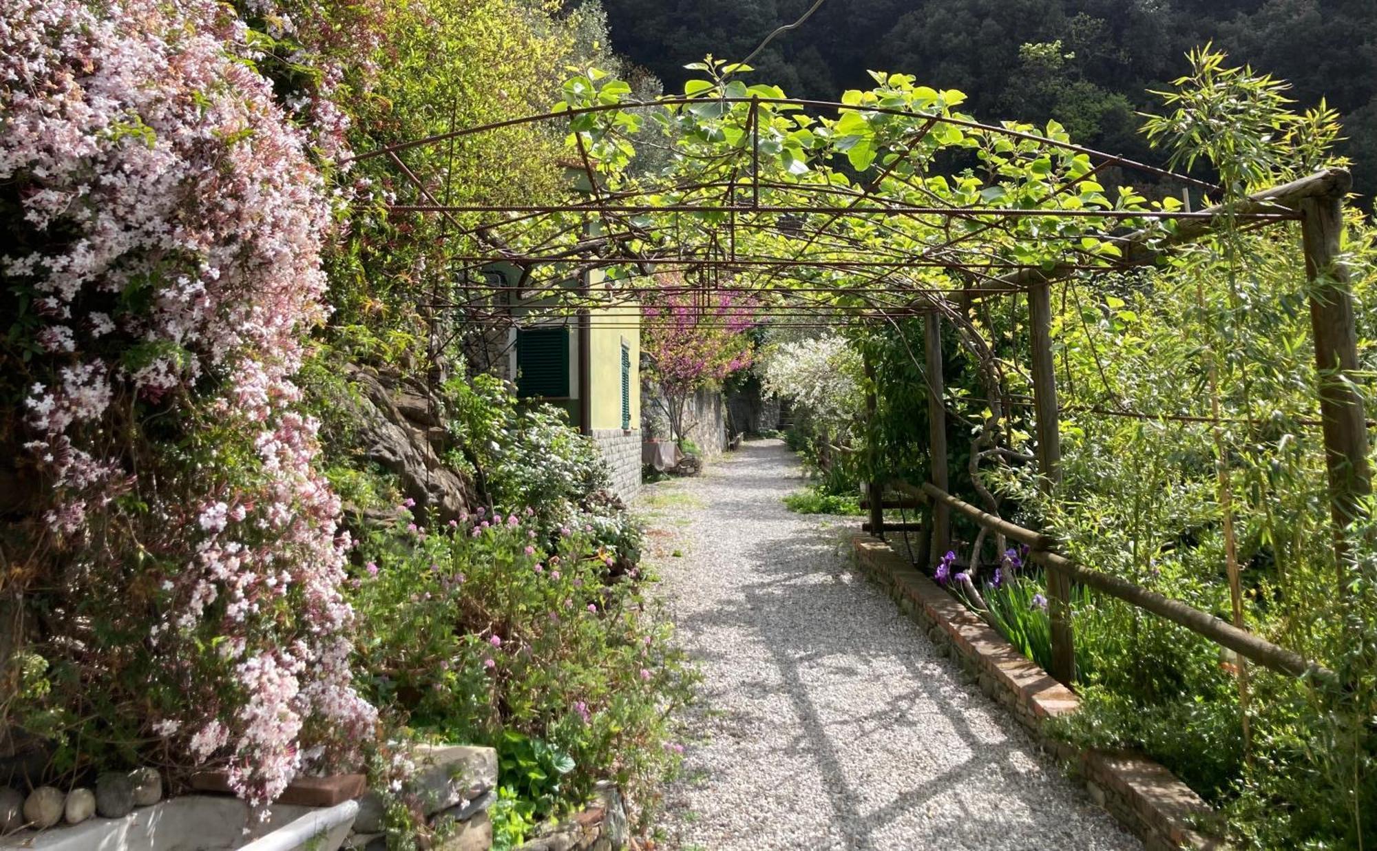 Villa Pietrafiore Monterosso al Mare Eksteriør bilde