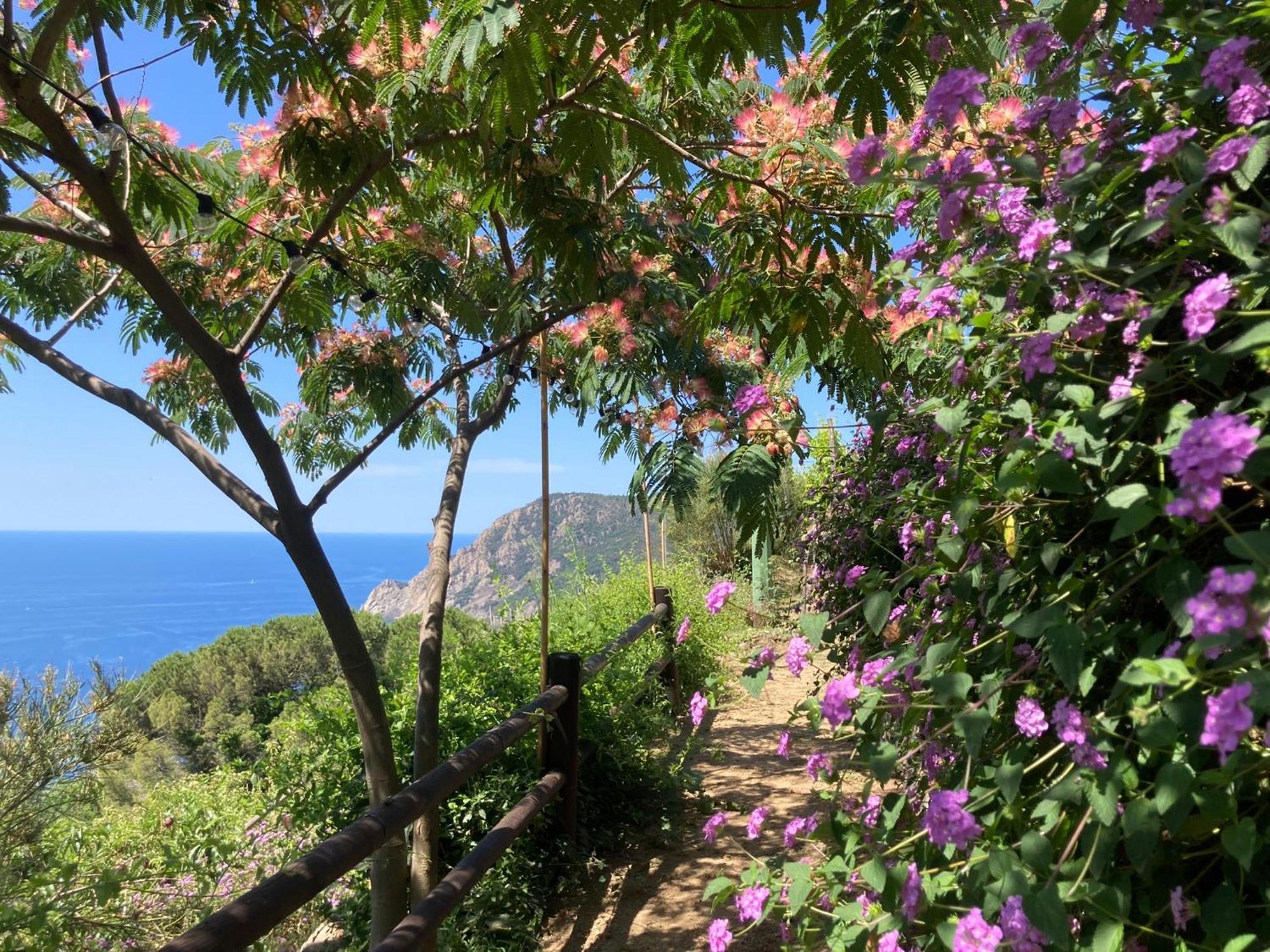 Villa Pietrafiore Monterosso al Mare Eksteriør bilde