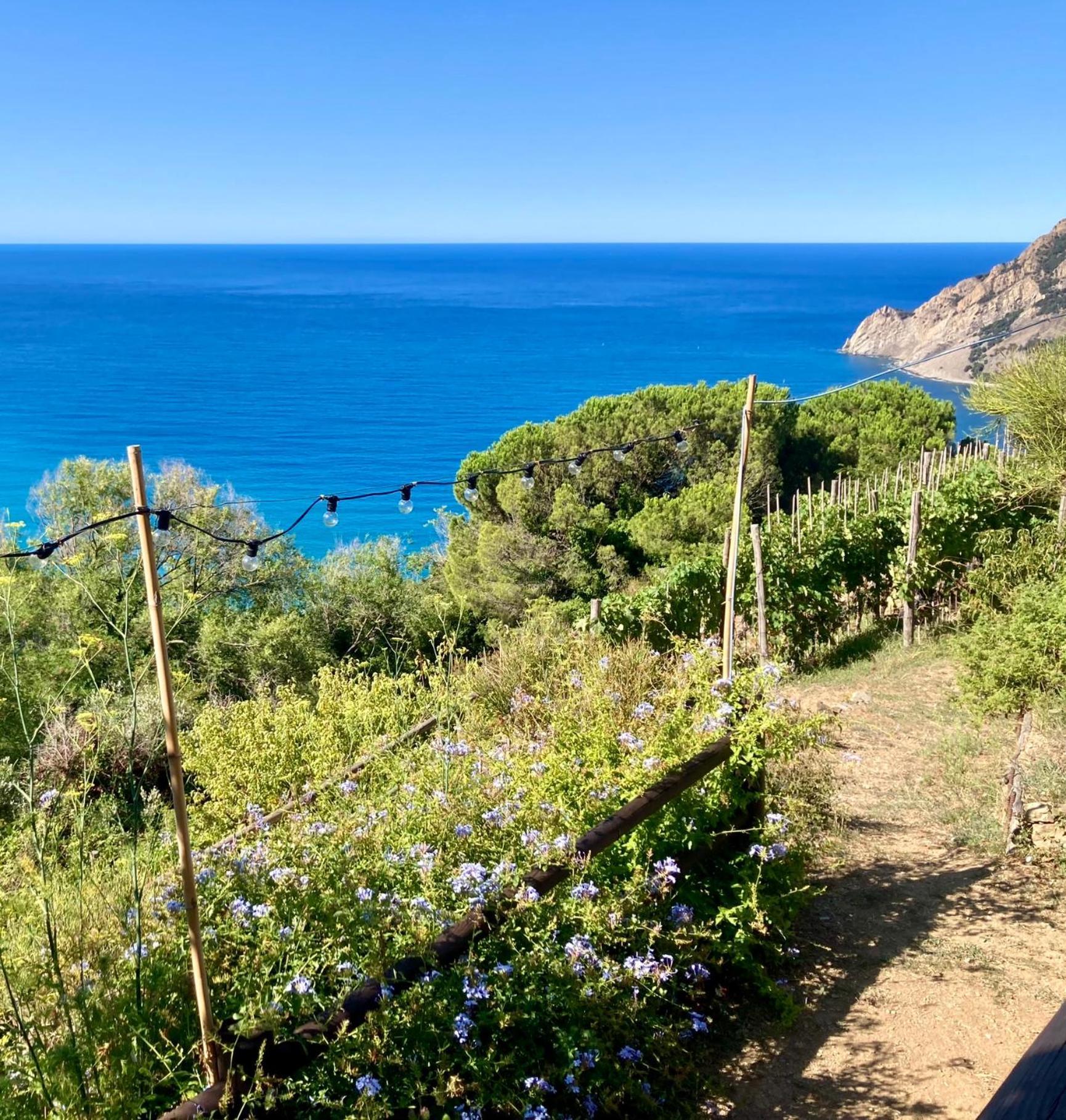 Villa Pietrafiore Monterosso al Mare Eksteriør bilde