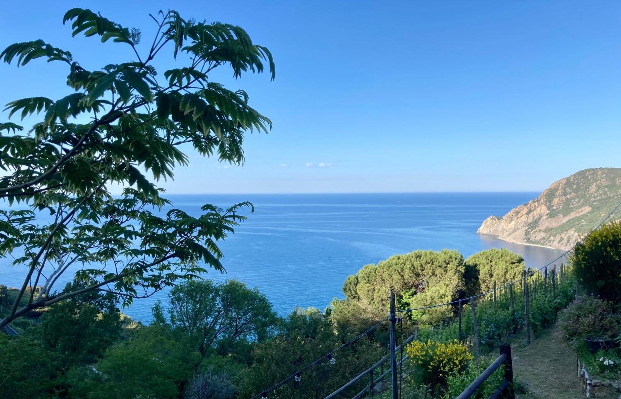 Villa Pietrafiore Monterosso al Mare Eksteriør bilde