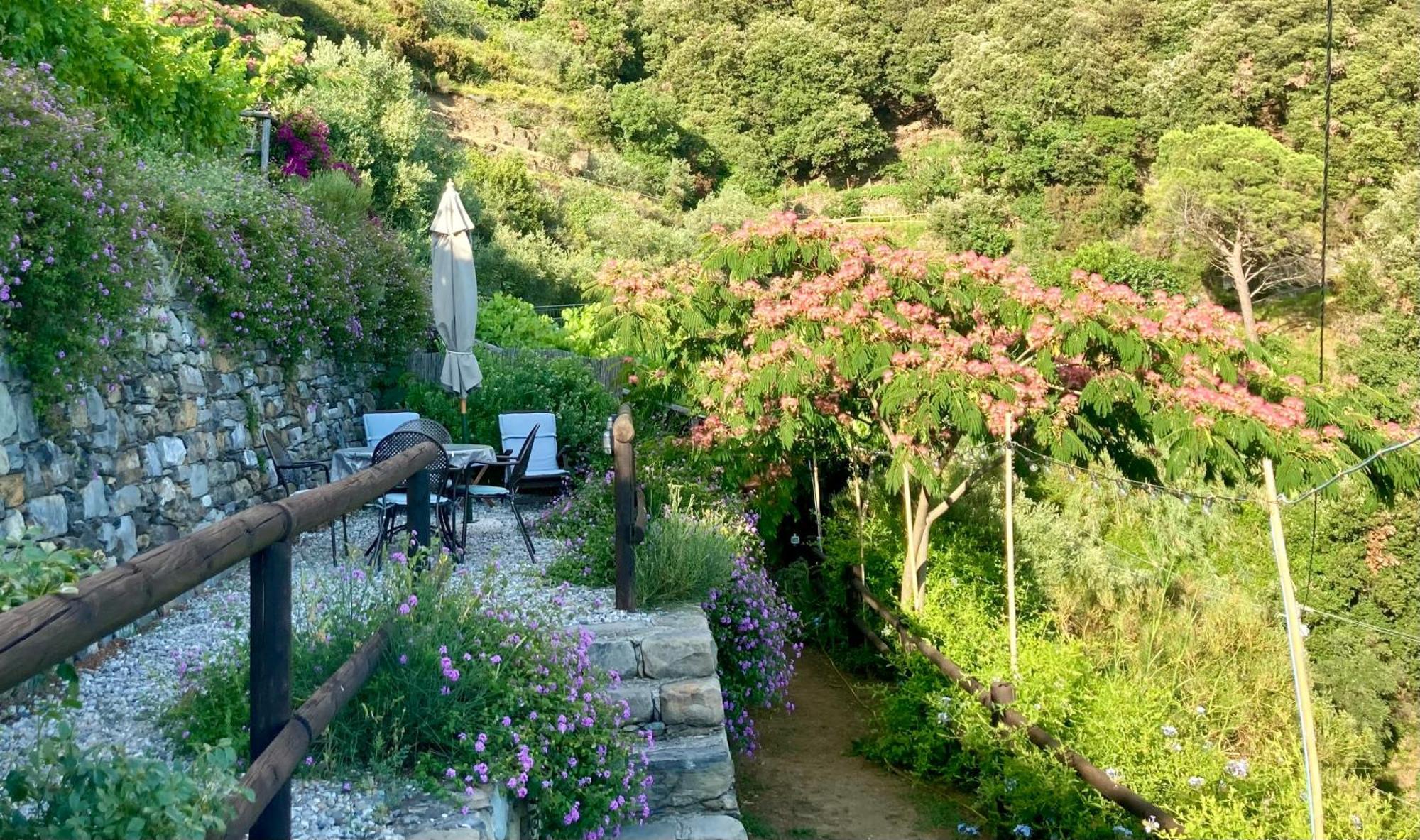 Villa Pietrafiore Monterosso al Mare Eksteriør bilde