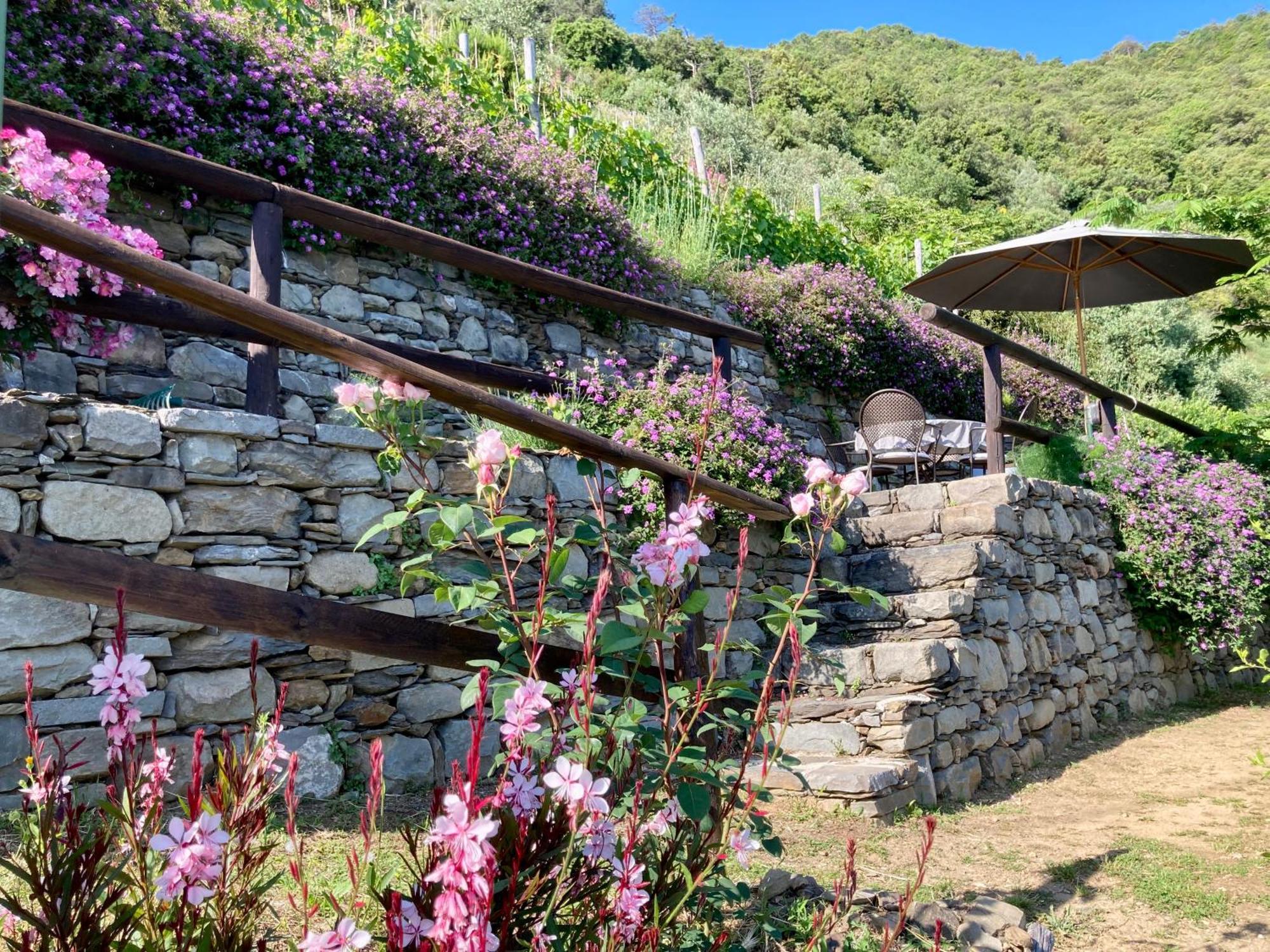 Villa Pietrafiore Monterosso al Mare Eksteriør bilde